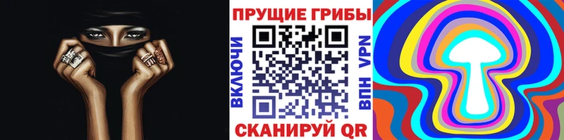 мега вход  Ясный  Псилоцибиновые грибы Psilocybe  наркота 